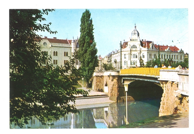 1830 - Timisoara. Pod peste Bega